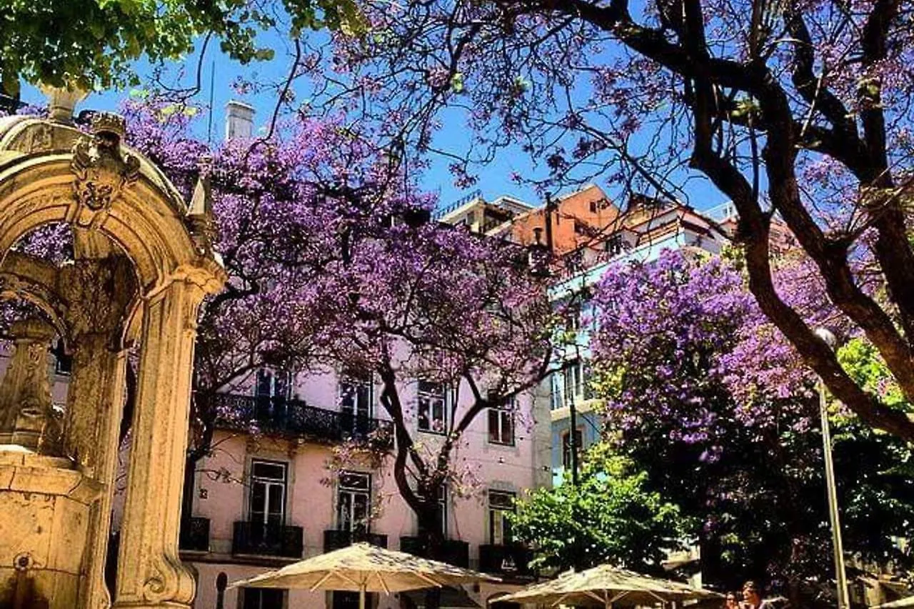 Amazing Camoes Apartment - Chiado, Лиссабон 0*,